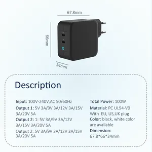 GaNFast PD100W Travel Charger
